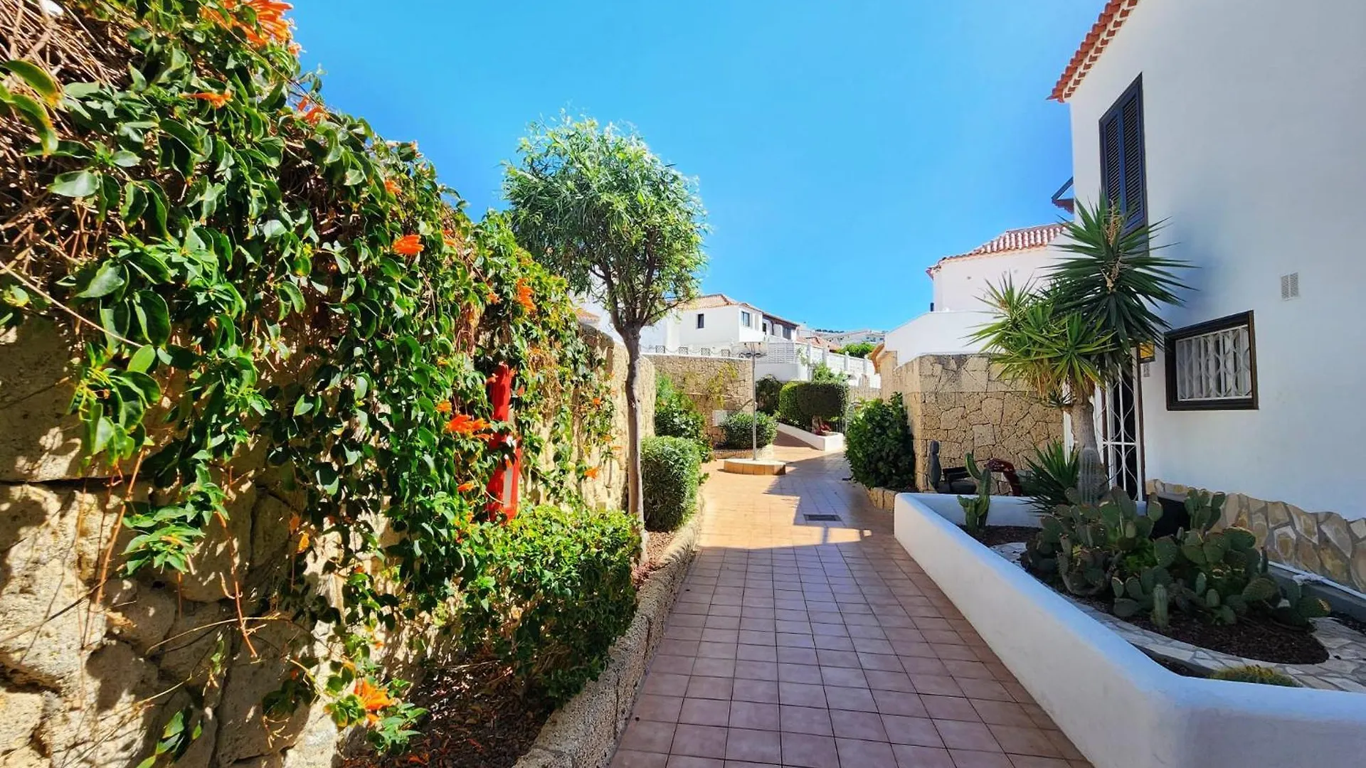 Apartment Dreaming Paraiso Royal Playa de las Americas