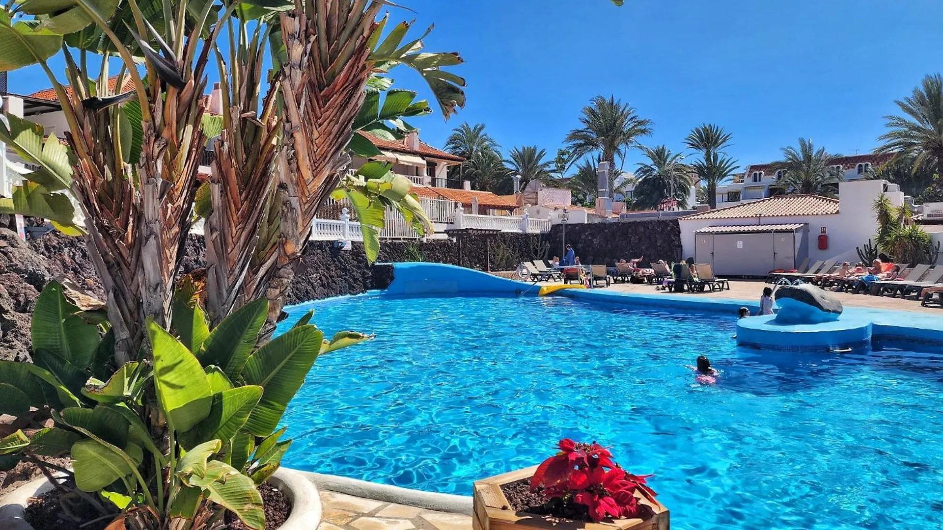 Dreaming Paraiso Royal Playa de las Americas