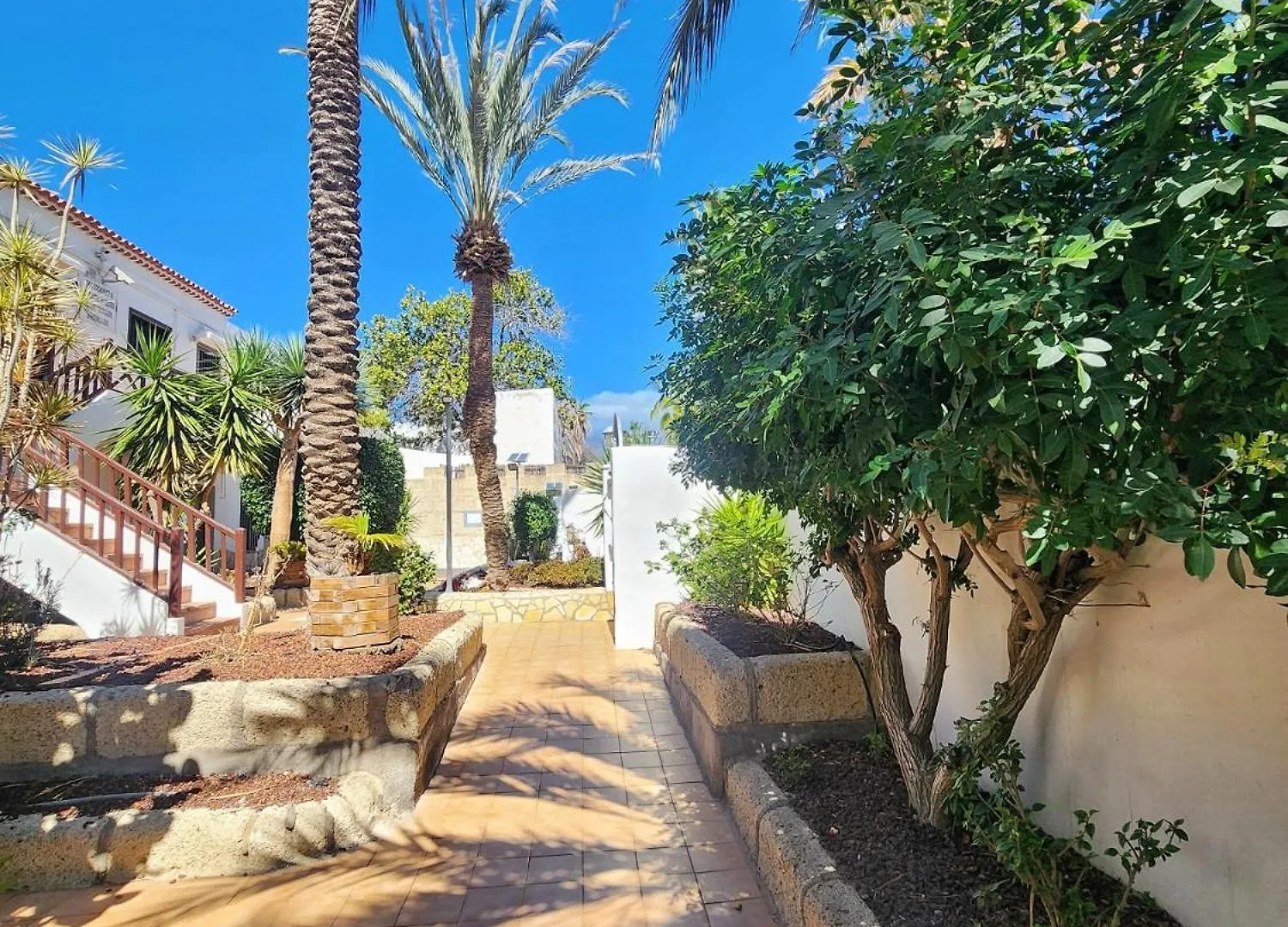 Dreaming Paraiso Royal Playa de las Americas  Spain